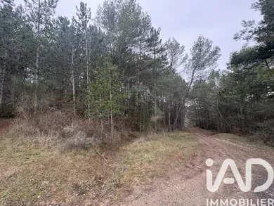 Land in Roquetaillade (11300)