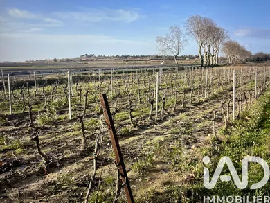 Terrain à Tourbes (34120)