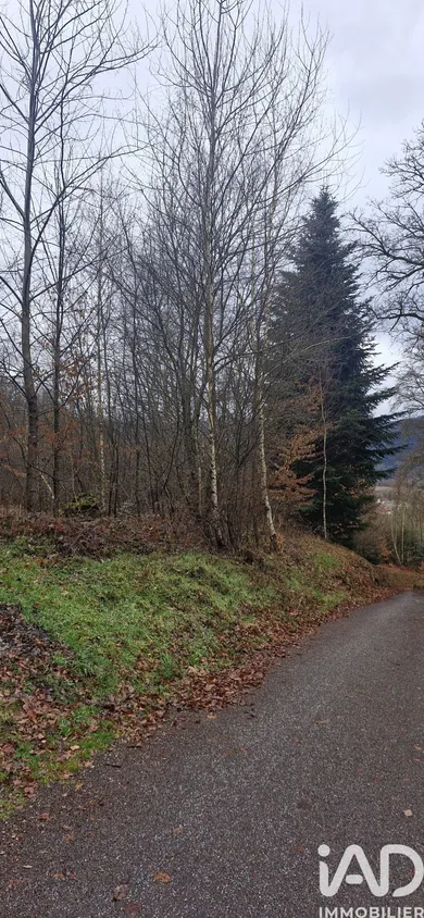 Land in SAINT NABORD (88200)