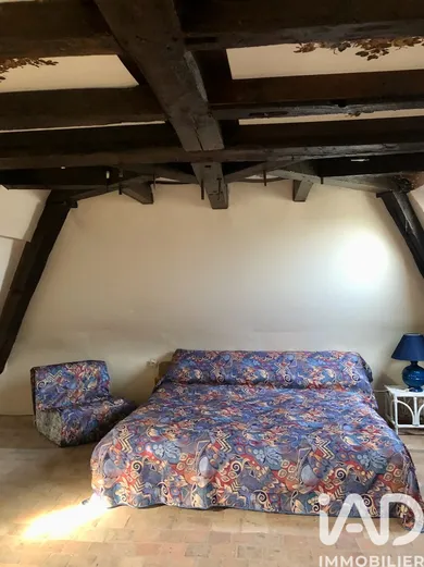 Longere in Neuillé-le-Lierre (37380)