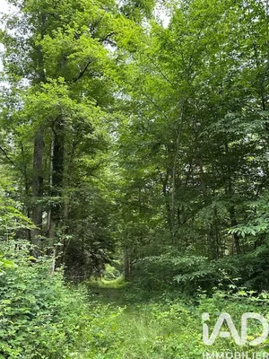 Terrain à Pont-Sainte-Maxence (60700)