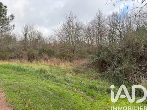 Terrain à bâtir à Saint-Martin-de-Fressengeas (24800)