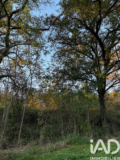Building plot in Saint-Martin-de-Fressengeas (24800)