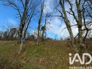 Terrain à bâtir à Saint-Martin-de-Fressengeas (24800)