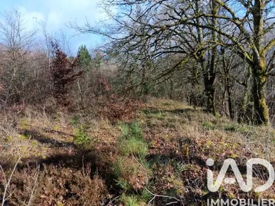 Building plot in Saint-Martin-de-Fressengeas (24800)