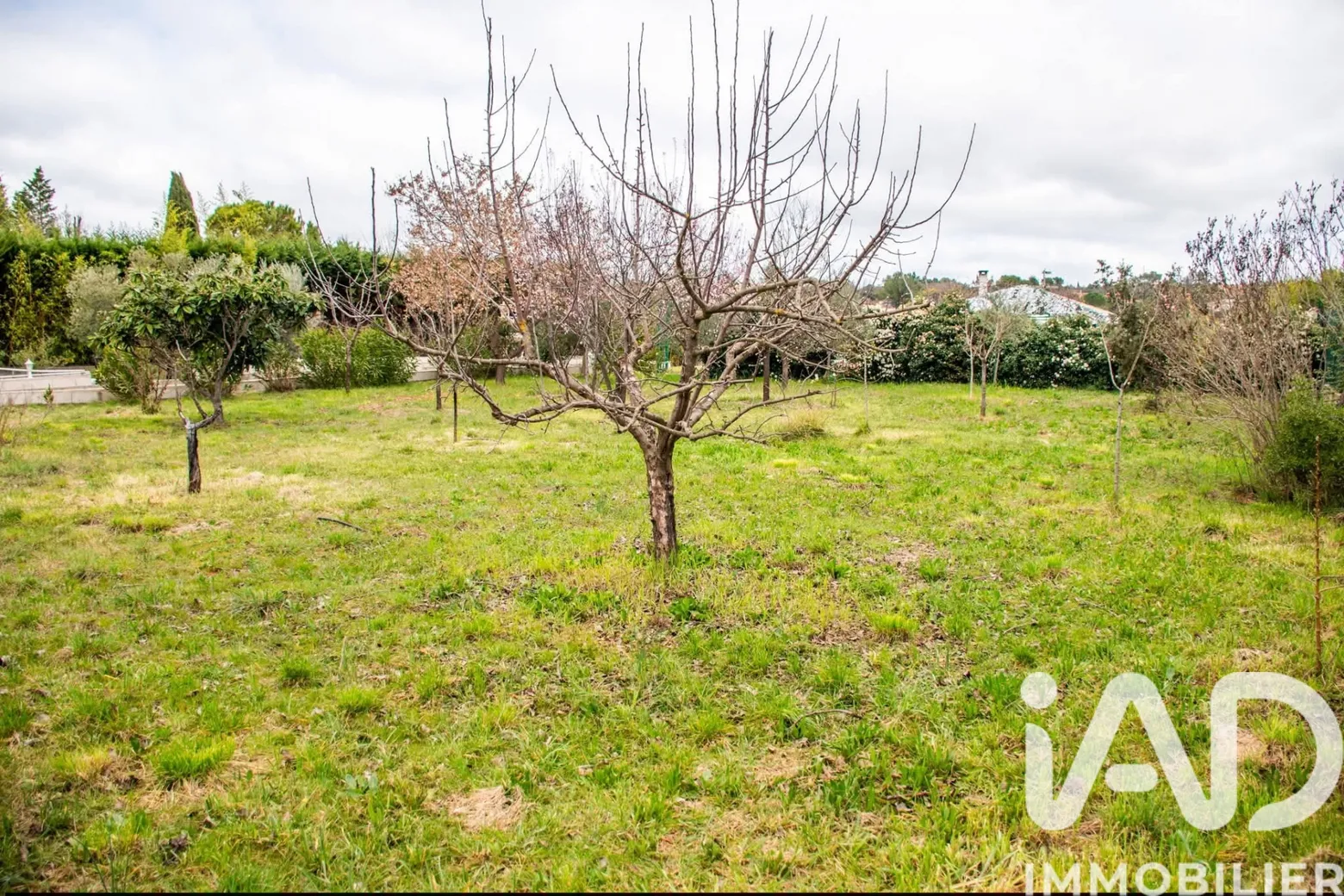 Vente maison à Saint — 3