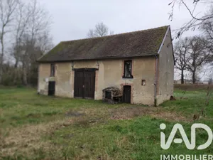 Terrain loisirs à Coullons (45720)