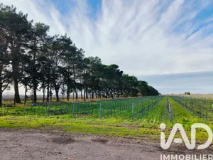 Terrain agricole  à Le Grau du Roi (30240)