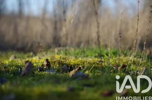 Terrain à Maule (78580)