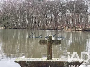 Domaine à Chaumont-sur-Tharonne (41600)