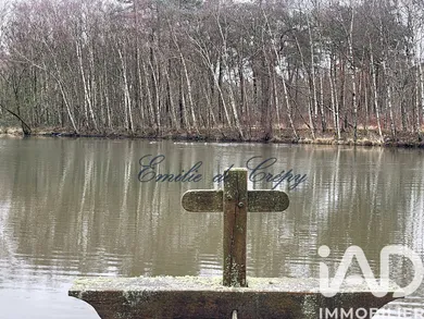 Domaine à Chaumont-sur-Tharonne (41600)