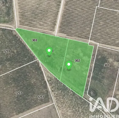 Terrain agricole  à raissac d Aude (11200)