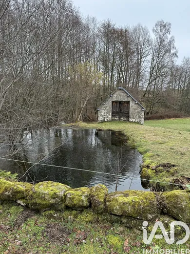 Mill in Grandsaigne (19300)