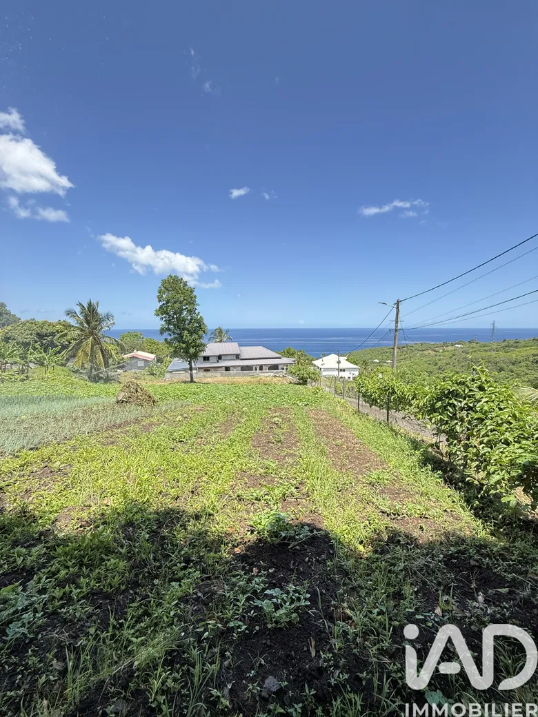 Terrain à Vieux-Habitants (97119) · 135 000 €