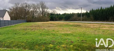 Terrain à Thorailles (45210)