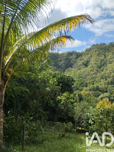 Terrain à bâtir à Le Morne-Vert (97226)
