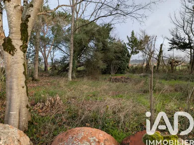 Terrain à bâtir à Terssac (81150)