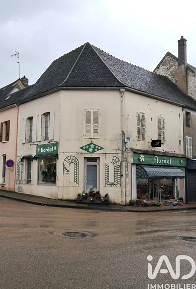 Building in Brienon-sur-Armançon (89210)