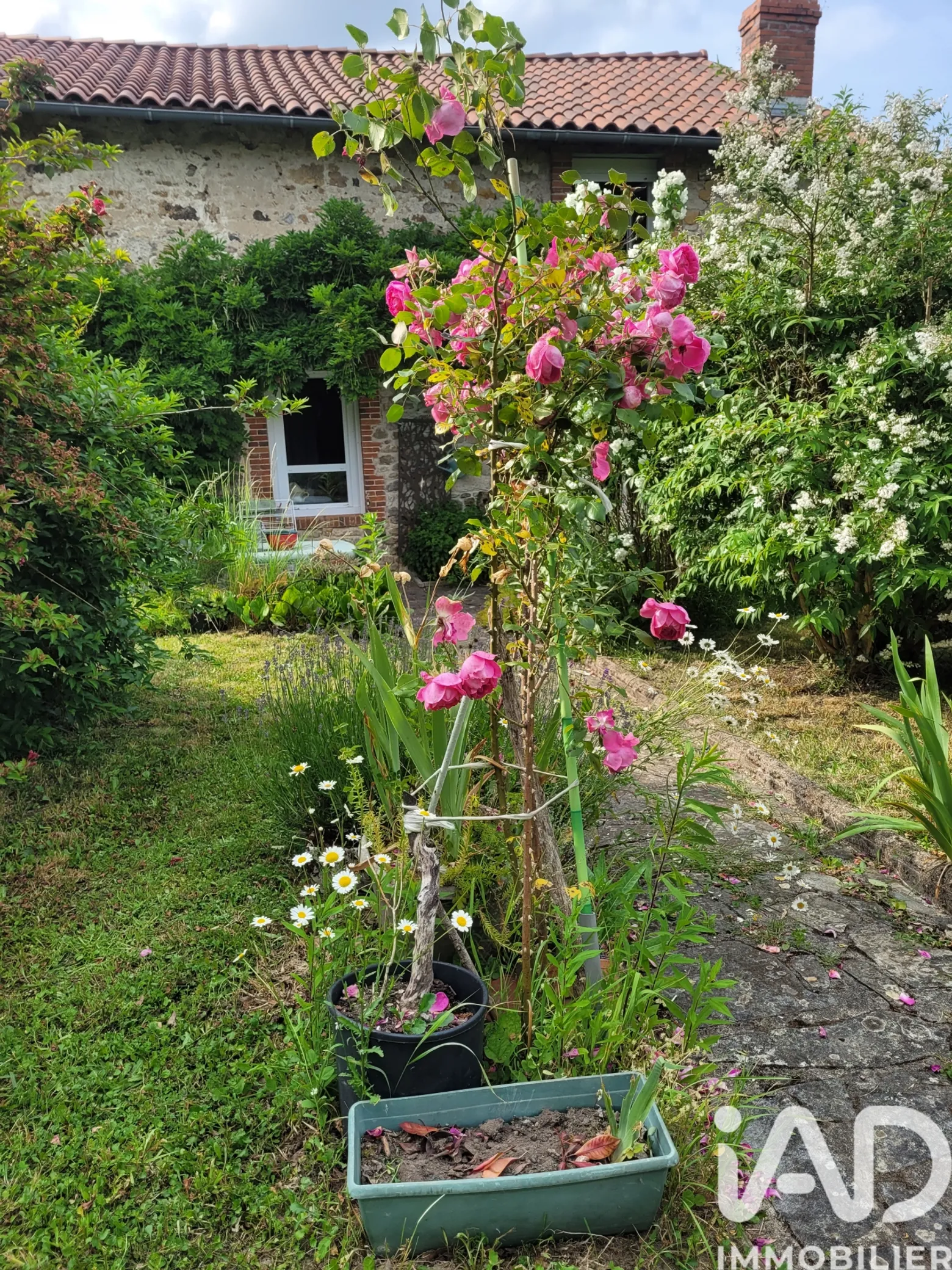 Vente maison à Blanzac (87300) : maison de campagne 4 pièces 108 m² — 2