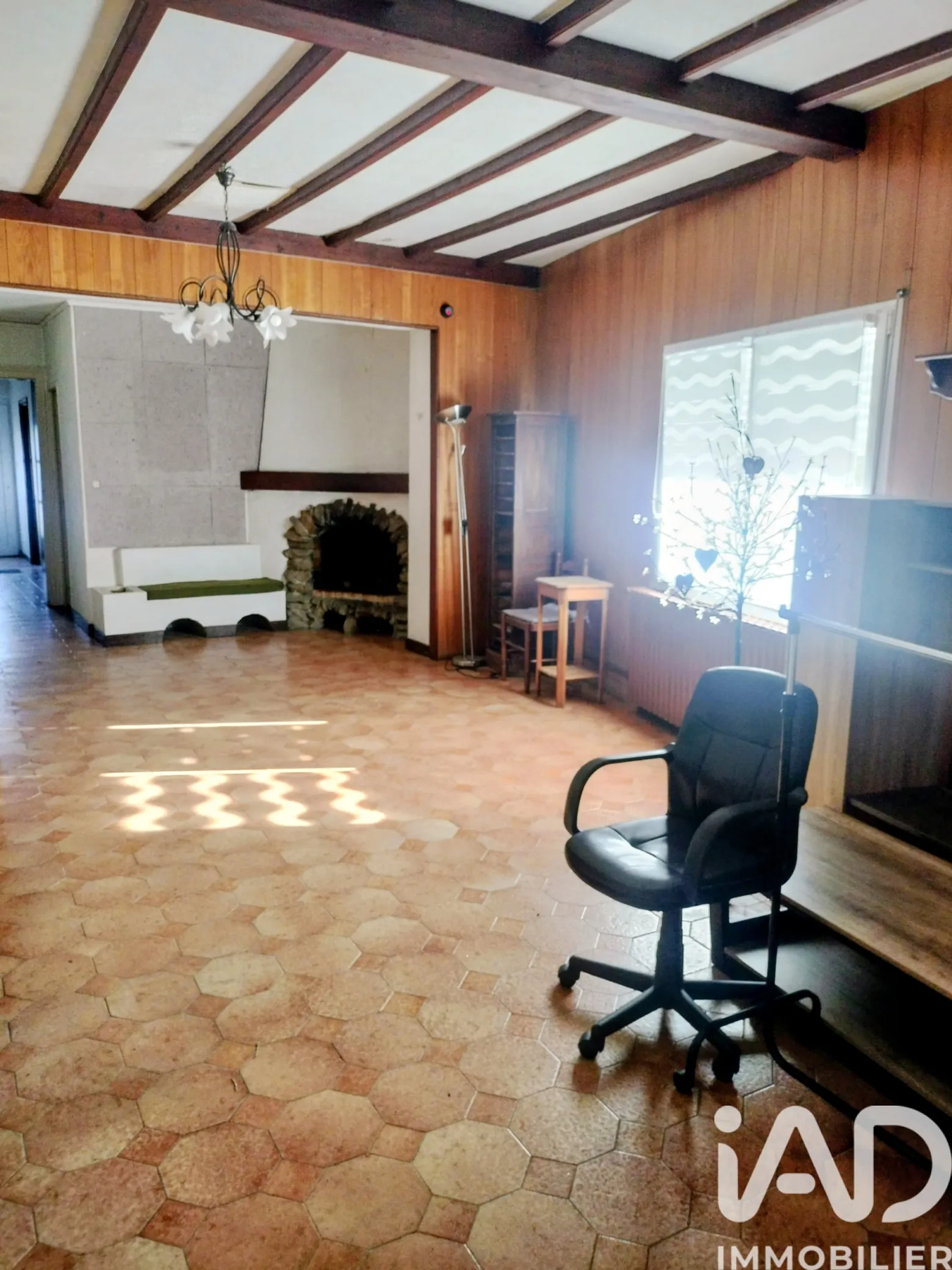 Vente maison à Vieux — 2