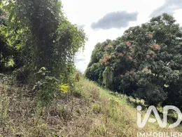 Terrain à bâtir à Le Morne-Vert (97226)