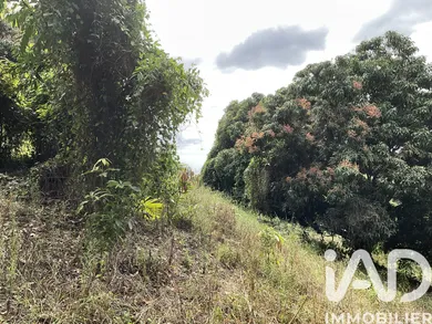 Terrain à bâtir à Le Morne-Vert (97226)
