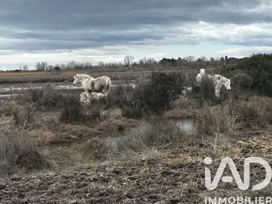Apartment in Les Saintes-Maries-de-la-Mer (13460)