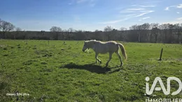 Longere in Isle-et-Bardais (03360)