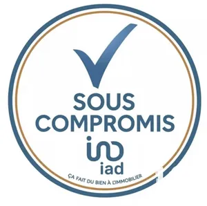 Traditional house in Chinon (37500)