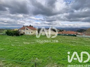 Maison traditionnelle à Cussac-sur-Loire (43370)