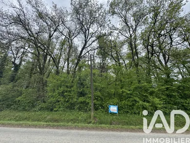Terrain à Saint-Martin-la-Pallu (86380)