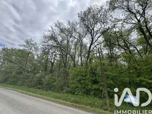 Land in Saint-Martin-la-Pallu (86380)