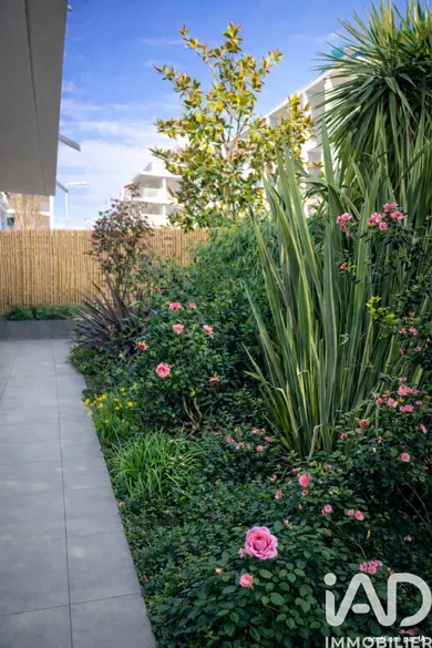 Apartment in la rochelle (17000)