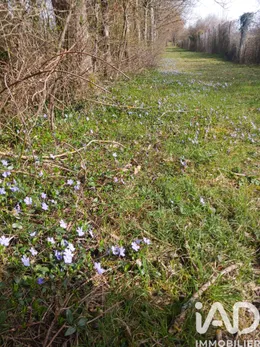 Leisure land in Usson du Poitou (86350)