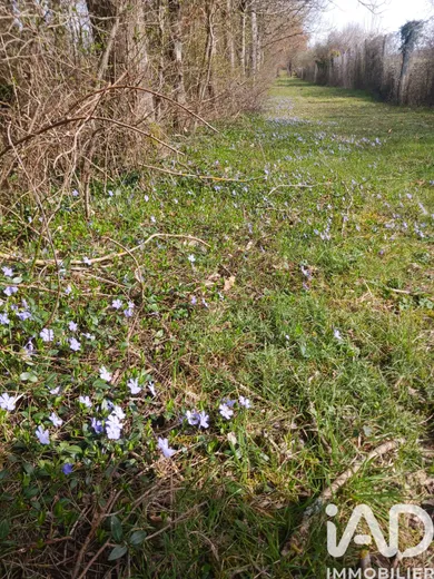 Terrain loisirs à Usson du Poitou (86350)