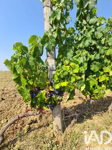 Terrain agricole  à Saussignac (24240)