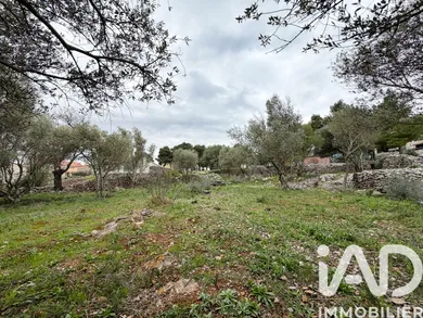 Terrain à bâtir à Opoul-Périllos (66600)