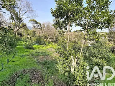 Terrain à Grasse (06130)