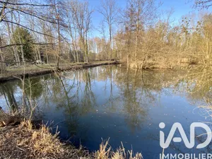 Terrain loisirs à Ferrières-en-Gâtinais (45210)