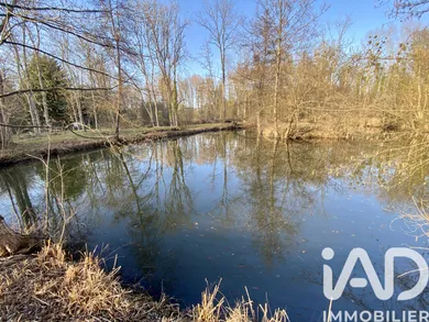 Terrain loisirs à Ferrières-en-Gâtinais (45210)