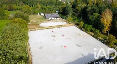 Haras à Dollon (72390)