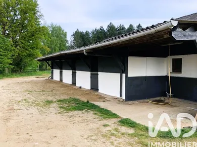 Haras à Dollon (72390)