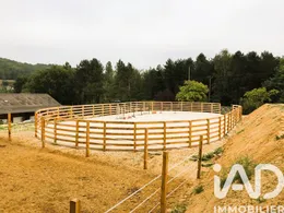 Haras à Dollon (72390)