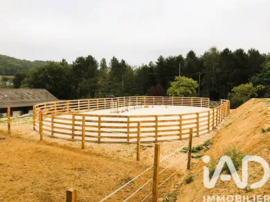 Haras à Dollon (72390)