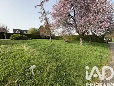 Terrain à bâtir à Turquant (49730)