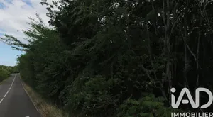 Building plot in Deshaies (97126)