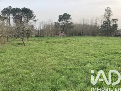 Terrain à Landiras (33720)