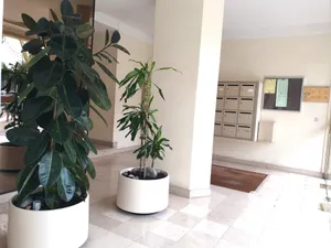 Appartement à Antony (92160)