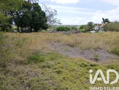 Terrain à Anse-Bertrand (97121)