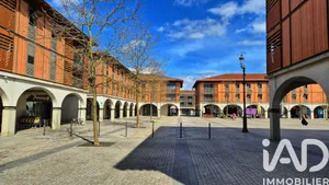 Apartment in Plaisance-du-Touch (31830)